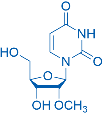 2′-O-Methyluridine 5g