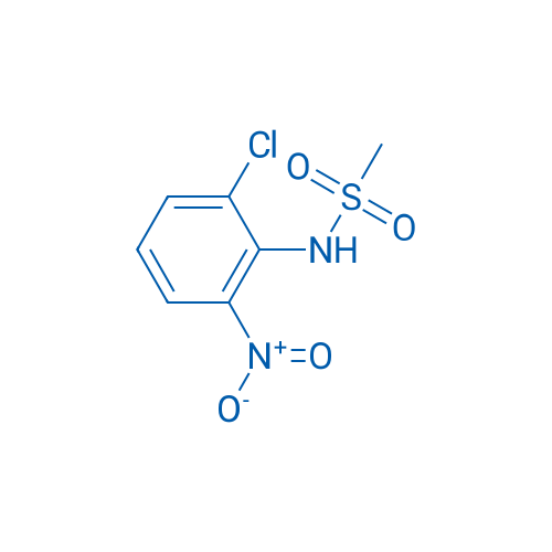 N-(2-Chloro-6-nitrophenyl)methanesulfonamide 10g