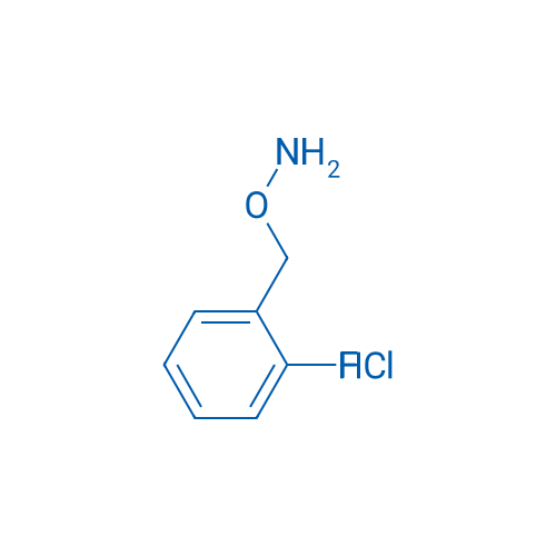 O-(2-Fluorobenzyl)hydroxylamine hydrochloride 1g