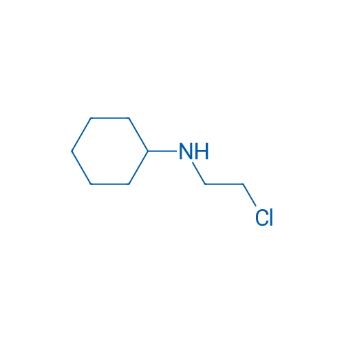 N-(2-Chloroethyl)cyclohexanamine 1g