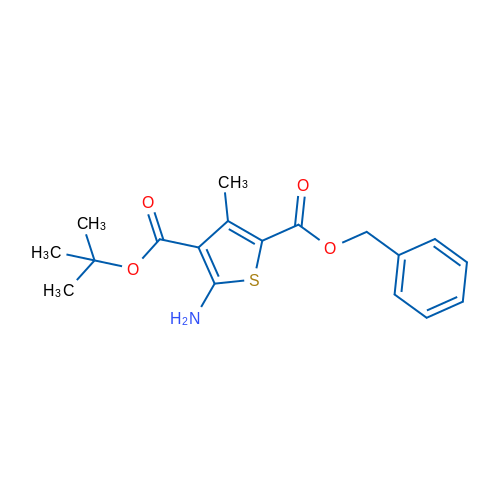 2-Benzyl 4-tert-Butyl 5-amino-3-methylthiophene-2,4-dicarboxylate 1g