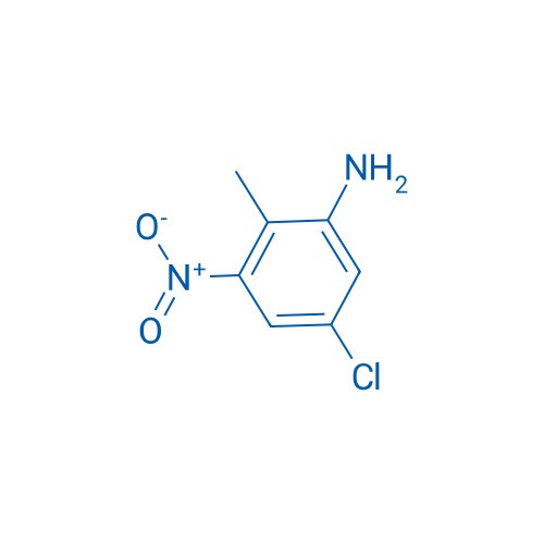 5-Chloro-2-methyl-3-nitroaniline 1g