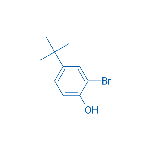2-Bromo-4-tert-butylphenol 25g