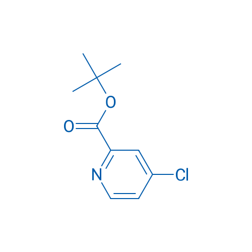 tert-Butyl 4-chloropicolinate 100mg