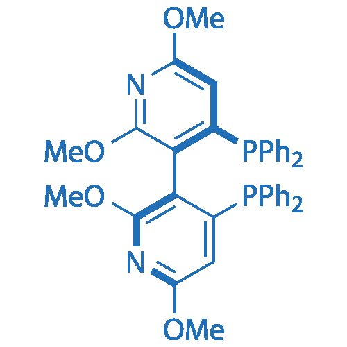 (R)-P-Phos 100mg