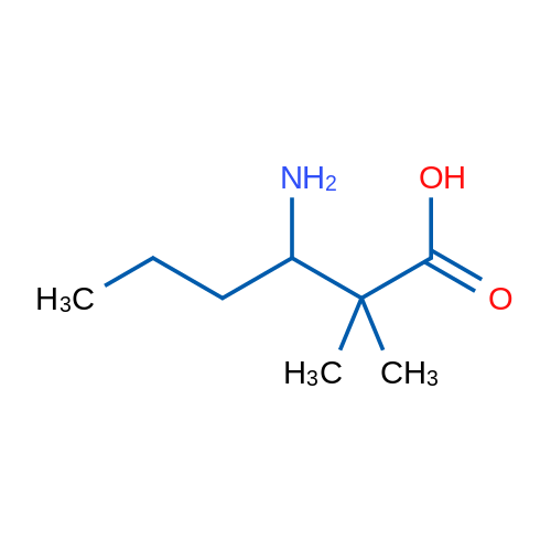 3-Amino-2,2-dimethylhexanoic acid 5g