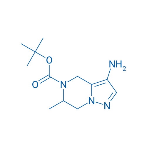 tert-Butyl 3-amino-6-methyl-6,7-dihydropyrazolo[1,5-a]pyrazine-5(4H)-carboxylate 1g
