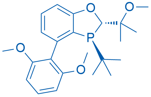 (2S,3S)-3-(tert-Butyl)-4-(2,6-dimethoxyphenyl)-2-(2-methoxypropan-2-yl)-2,3-dihydrobenzo[d][1,3]oxaphosphole 250mg