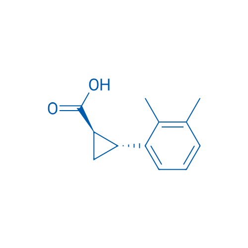 (1R,2R)-2-(2,3-Dimethylphenyl)cyclopropane-1-carboxylic acid 1g