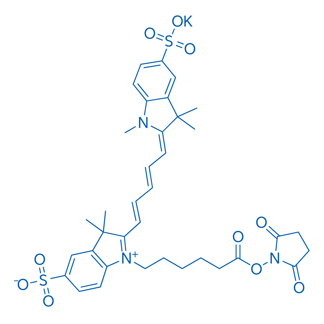Sulfo-CY5-NHS ester potassium 5mg