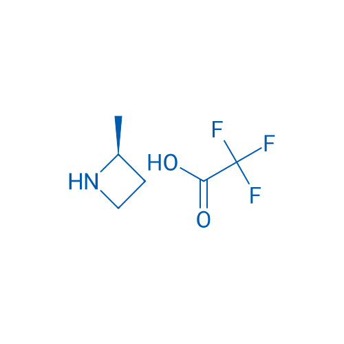(S)-2-METHYLAZETIDINE TFA 1g