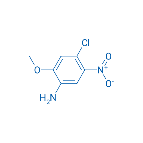 4-Chloro-2-methoxy-5-nitroaniline 1g