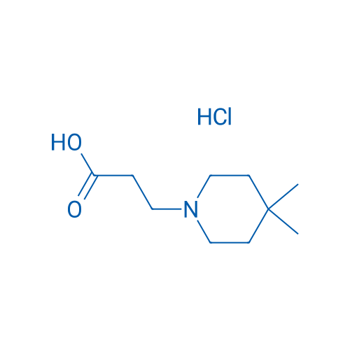 3-(4,4-Dimethylpiperidin-1-yl)propanoic acid hydrochloride 1g