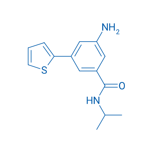 3-Amino-N-isopropyl-5-(thiophen-2-yl)benzamide 1g