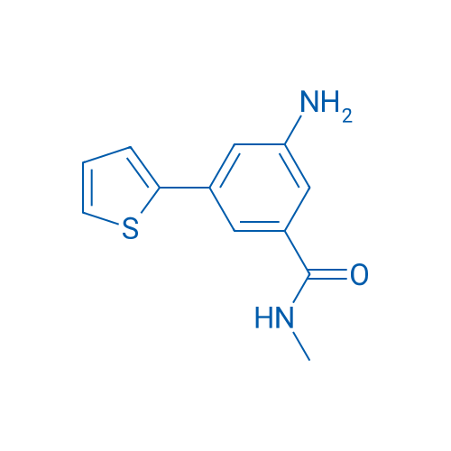 3-Amino-N-methyl-5-(thiophen-2-yl)benzamide 1g