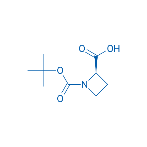 1,2-Azetidinedicarboxylic Acid 1-(1,1-Dimethylethyl) Ester 5g