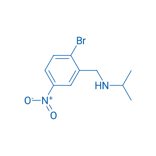 N-(2-Bromo-5-nitrobenzyl)propan-2-amine 1g
