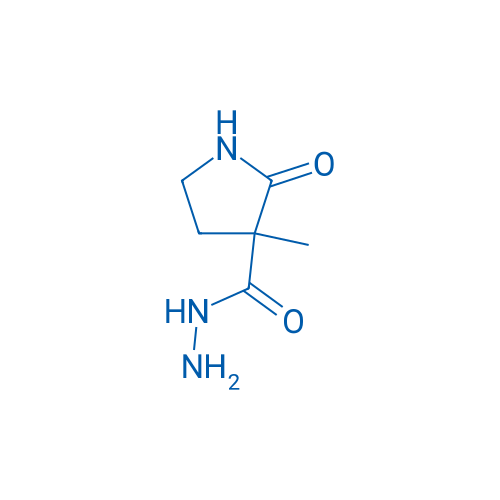 3-Methyl-2-oxopyrrolidine-3-carbohydrazide 5g