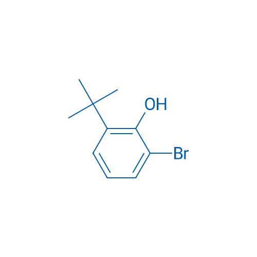2-Bromo-6-(tert-butyl)phenol 100mg