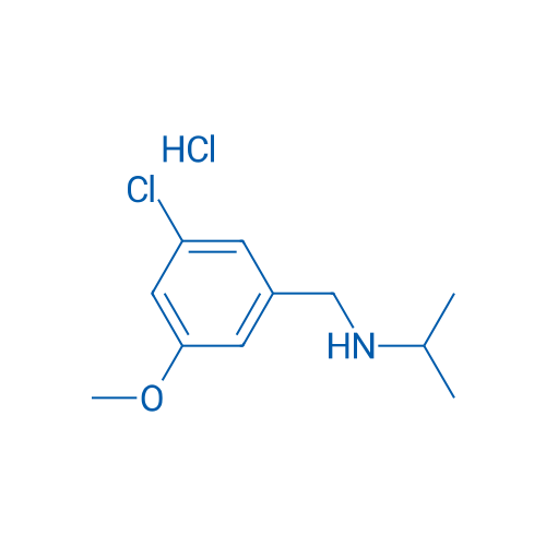 N-(3-Chloro-5-methoxybenzyl)propan-2-amine hydrochloride 1g