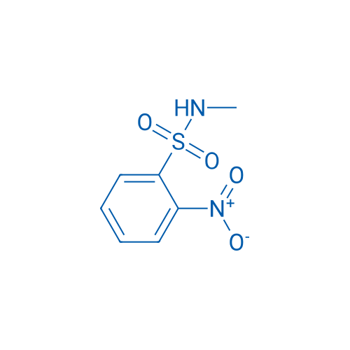 N-Methyl-2-nitrobenzenesulfonamide 1g