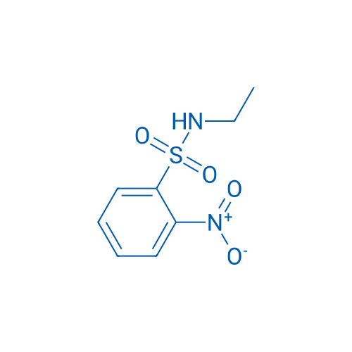 N-Ethyl-2-nitrobenzenesulfonamide 25g