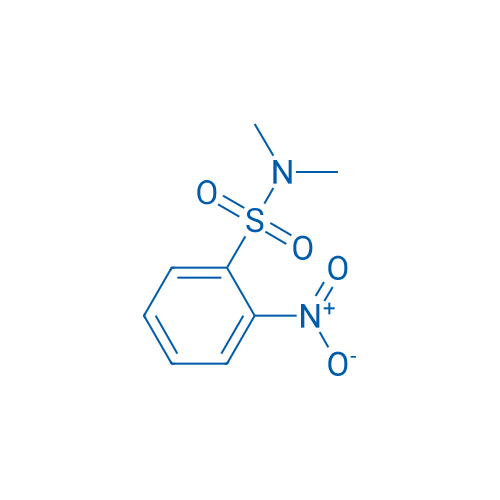 N,N-Dimethyl-2-nitrobenzenesulfonamide 25g
