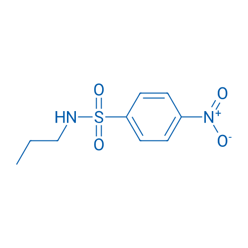4-Nitro-N-propylbenzenesulfonamide 100mg