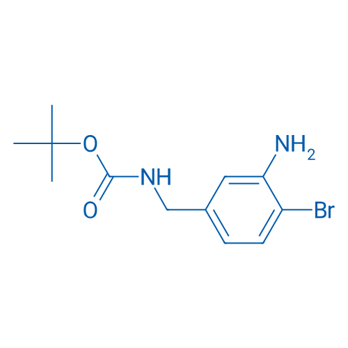 tert-Butyl 3-amino-4-bromobenzylcarbamate 1g
