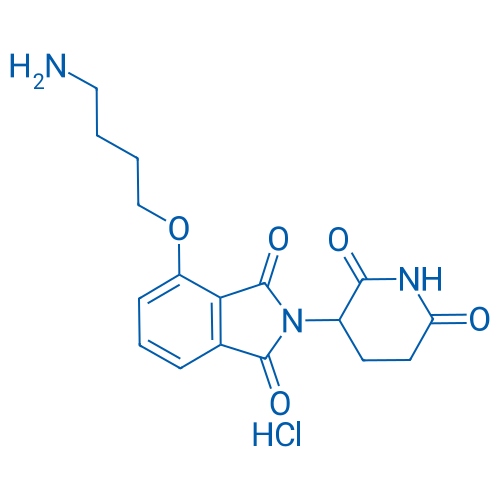 Thalidomide-4-O-C4-NH2 HCl 1g