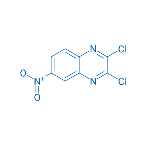 2 3-Dichloro-6-nitroquinoxaline 1g