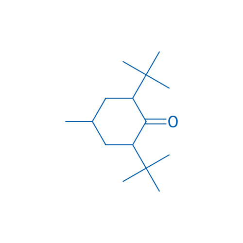 2,6-Di-tert-butyl-4-methylcyclohexanone 250mg