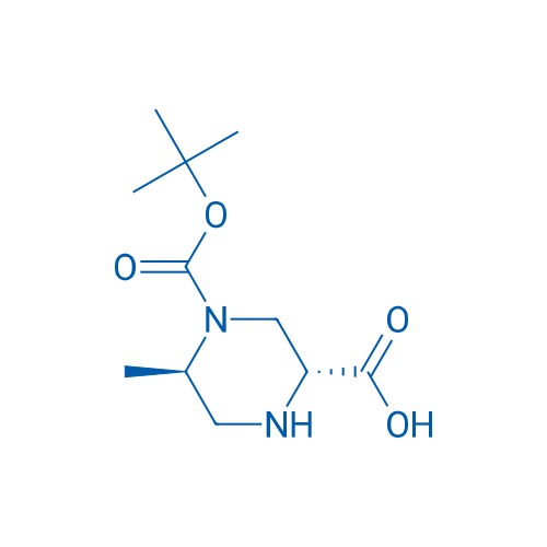 (2R,5R)-4-(tert-Butoxycarbonyl)-5-methylpiperazine-2-carboxylic acid 5g