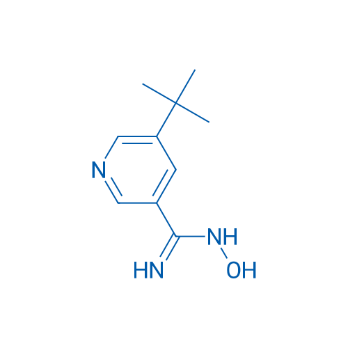 5-(tert-Butyl)-N-hydroxynicotinimidamide 1g