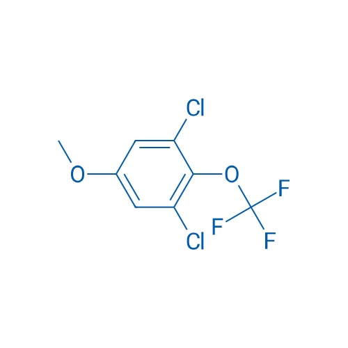 1,3-Dichloro-5-methoxy-2-(trifluoromethoxy)benzene 100mg