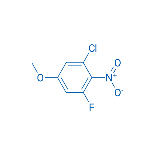 1-Chloro-3-fluoro-5-methoxy-2-nitrobenzene 250mg
