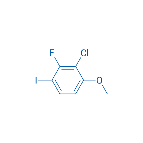 2-Chloro-3-fluoro-4-iodo-1-methoxybenzene 1g