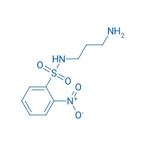 N-(3-Aminopropyl)-2-nitrobenzenesulfonamide 250mg