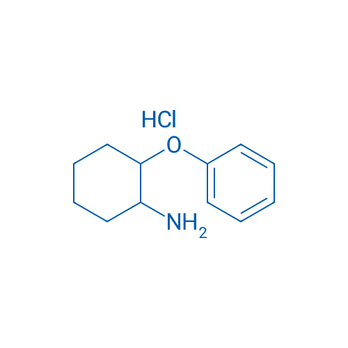 2-Phenoxycyclohexan-1-amine hydrochloride 1g