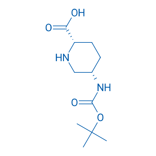 Rel-(2S,5S)-5-((tert-butoxycarbonyl)amino)piperidine-2-carboxylic acid 250mg