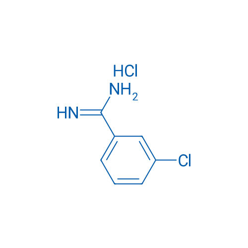 3-Chlorobenzamidine hydrochloride 1g