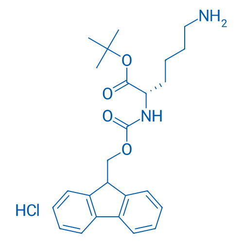 Fmoc-Lys-OtBu·HCl 5g