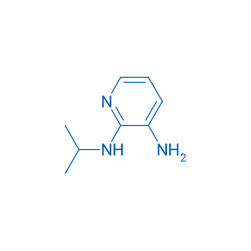 N2-Isopropylpyridine-2,3-diamine 1g