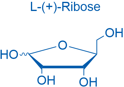 L-(+)-Ribose 10g
