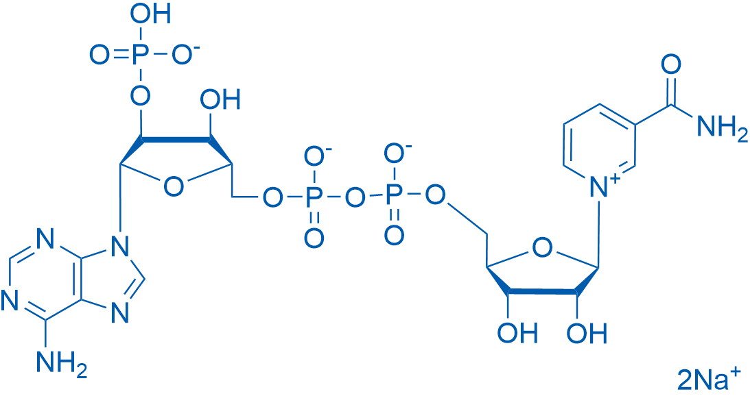 NADP disodium salt 250mg