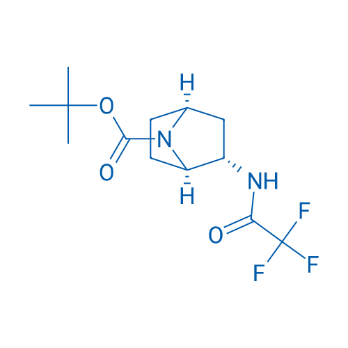 tert-Butyl (1R,2S,4S)-2-(2,2,2-trifluoroacetamido)-7-azabicyclo[2.2.1]heptane-7-carboxylate 250mg