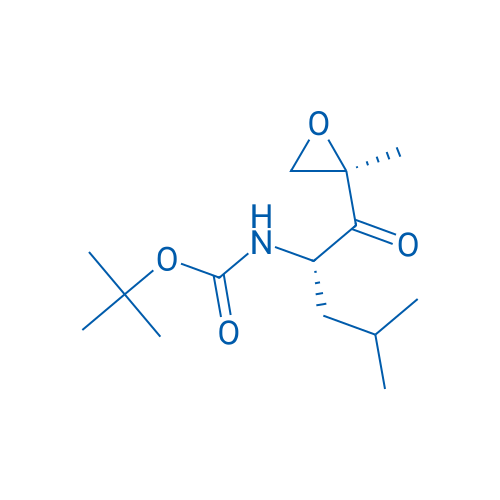 tert-Butyl ((S)-4-methyl-1-((R)-2-methyloxiran-2-yl)-1-oxopentan-2-yl)carbamate 1g