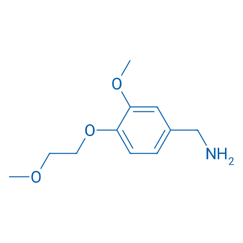 (3-Methoxy-4-(2-methoxyethoxy)phenyl)methanamine 1g
