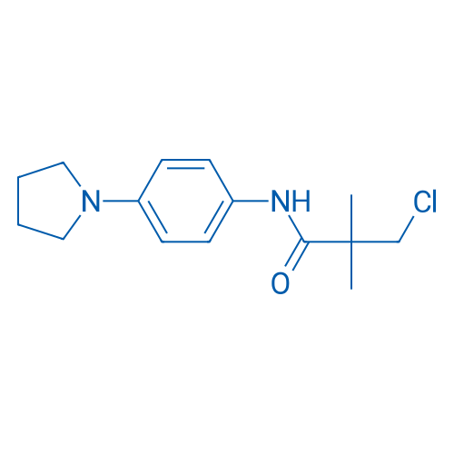3-Chloro-2,2-dimethyl-N-[4-(pyrrolidin-1-yl)phenyl]propanamide 1g