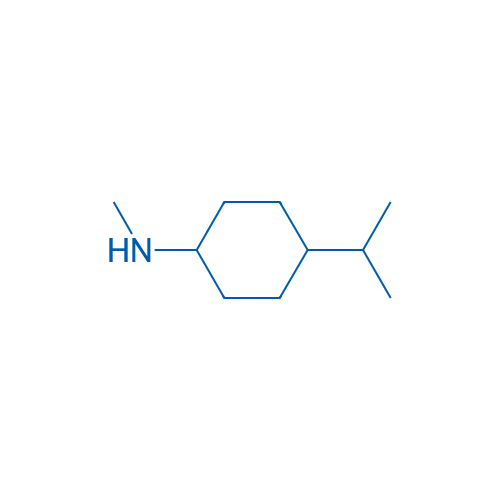 N-Methyl-4-(propan-2-yl)cyclohexan-1-amine 10g